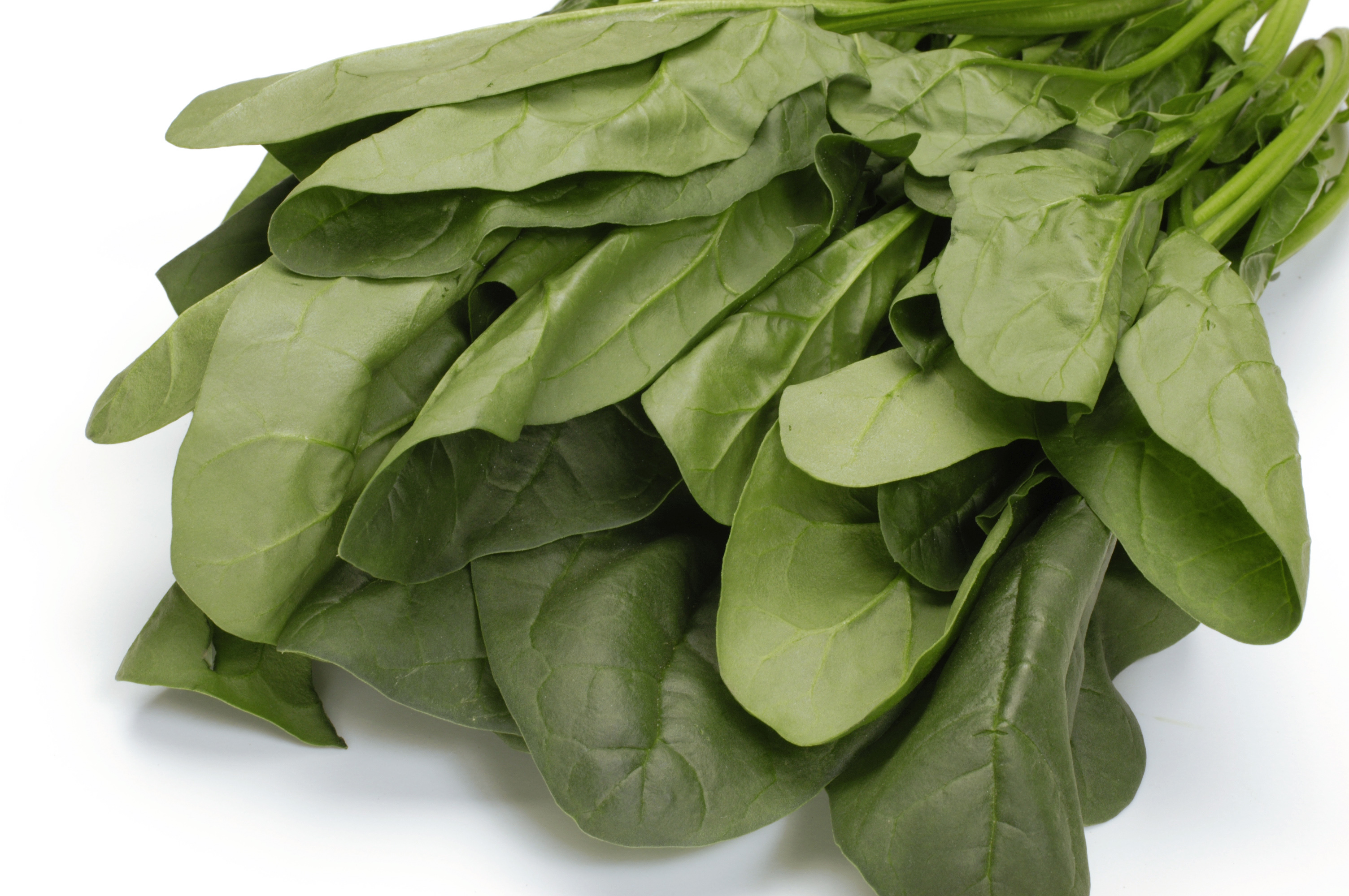 子育てほうれんそう